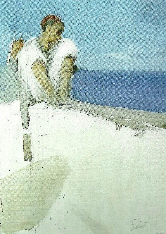Anders Zorn zornsamlingarna oil painting image